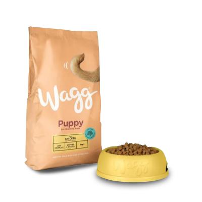 China Good Quality Whole Sale Various Sizes And Customized Shapes Moisture Proof Bag For Pet Food Packaging Bag for sale