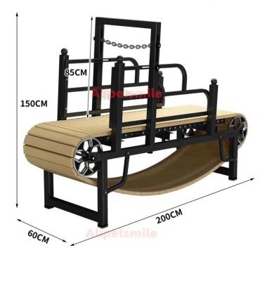 China Small Animals Iron Treadmill with Water Resistance and Adjustable Incline for sale