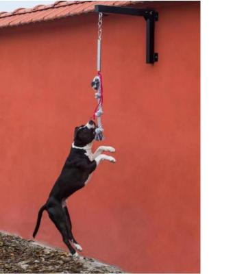 Chine Poteaux de ravitaillement durables pour chiens pour sauter et faire de l'activité physique à vendre