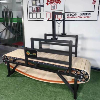 China Large and Medium Dog Sustainable Indoor Exercise Equipment REPTILES Running Machine 220lbs for sale