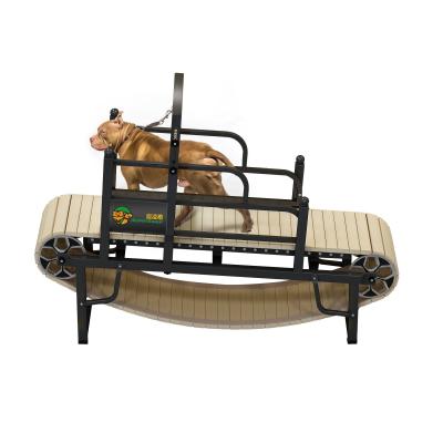 China Pet Running Sustainable REPTILES Agility Training Wood Equipment for Indoor Sports for sale