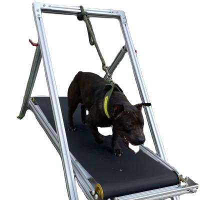 China Dog Exercise Slatmill Pets Treadmill Walking Machine for Pit Bull Stocked Carpet Mill for sale