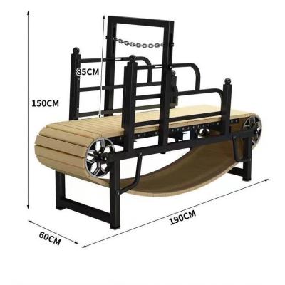 China Pet Training Dog Treadmill with Electrophoresis Coating and Anodizing Finish for sale