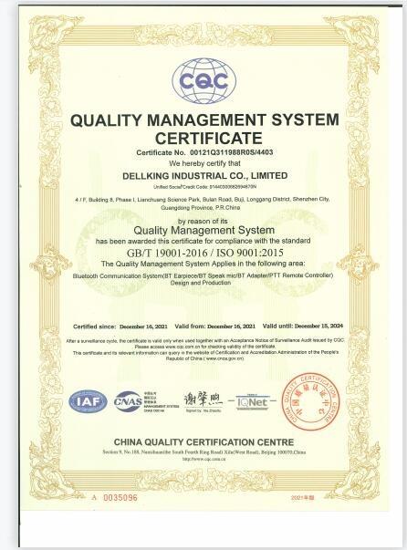 ISO9001 - Shenzhen Dellking Co., Ltd.