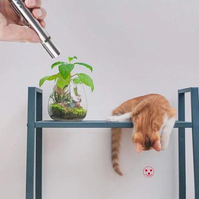 China Viable Cat Toy 3 in 1 Rechargeable Funny Laser LED Pen Light Cat Light Pointers USB Dropshipping Cat Chaser Toys Mini Flashlight for sale