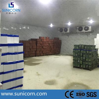 China Steel Structure Supermarket Cold Room , Prefabricated Walk In Freezer And Chiller for sale