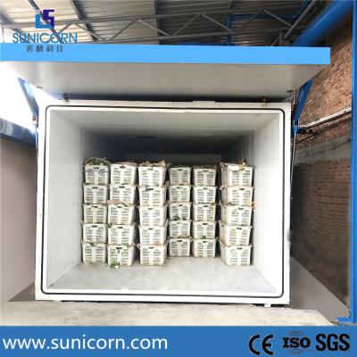 China Customizes 1 -12 pallets vacuum cooler for vegetable pro-cooling for sale