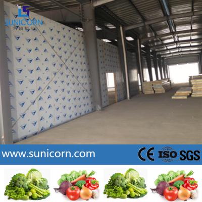 China Commercial Walk In Cooler Food Storage , Multipurpose Cold Storage Project for sale