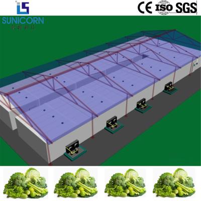 China Modern Facility Modular Cold Rooms Cold Storage For Vegetables And Fruits for sale