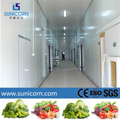 China Cold Food Storage Restaurant Walk In Freezer , Sandwich Panel Modular Freezer Room for sale