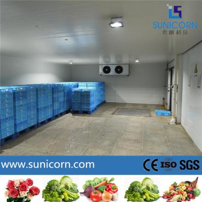 China Customized Size Walk In Cold Room 380V/3P/50Hz Voltage With Convex Door for sale