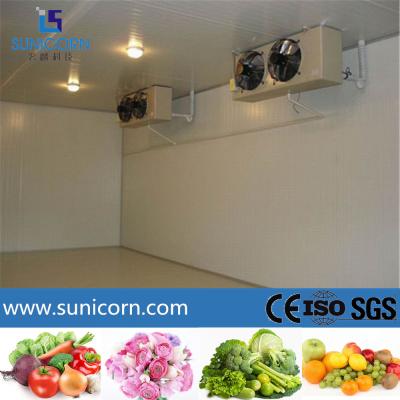 China Full Automatic Control Walk In Cold Room Refrigeration System Energy Saving for sale