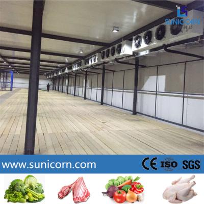 China High Frozen Food Walk In Cold Room Fridge Freezer For High Racking System for sale