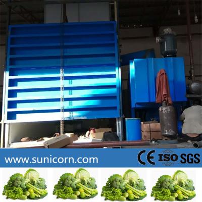 China Industrial Vacuum Pre Cooling Machine 6 Pallets For Cooling Fresh Produce After Harvest for sale