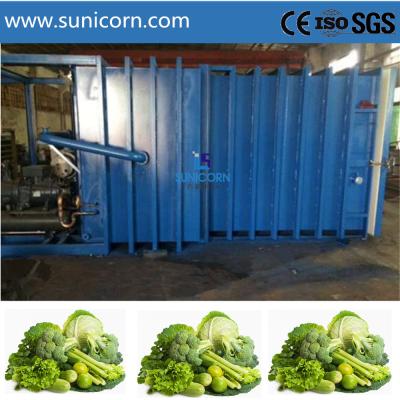 China 500kg Capacity Vacuum Cooling Equipment 1 Pallet 500-700kg Per Cycle Capacity for sale