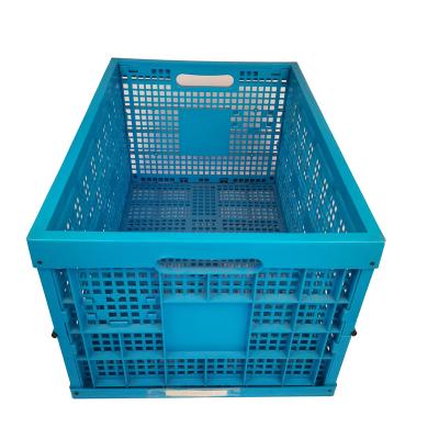 China Improve work efficiency plastic mesh perforated folding type 600*400*295mm plastic collapsible storage crates for fruit for sale