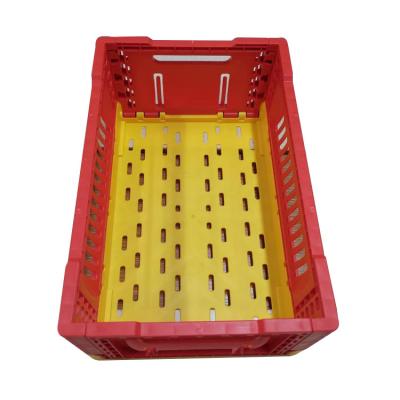 China High Quality Plastic Mesh PP Crate For Fruit And Vegetable Bread for sale