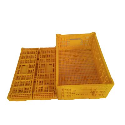 China Recyclable Foldable Plastic Crates Mesh Wall For Turnover And Storage for sale