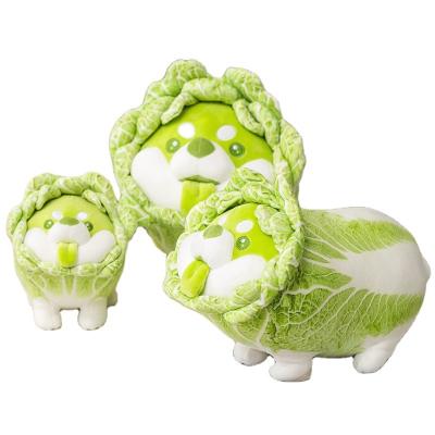 China Wholesale Cheap Price 35cm Vegetable Plush Dog Pillow Funny Gifts Green Vegetable Dog Plush Toys for sale