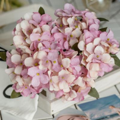 China 5 Heads Widely Used Cheapest Artificial Hydrangea Silk Flower For Home Decor for sale