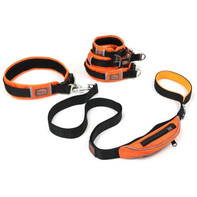 China Kingspeed Sustainable Super Strong Dog Collar For Large Dog for sale