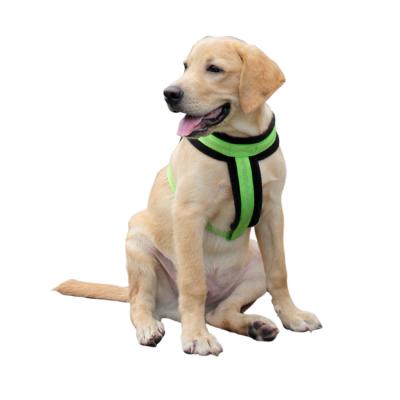 China Sustainable Premium Wholesale Neoprene Padded Adjustable Custom Dog Harness for sale