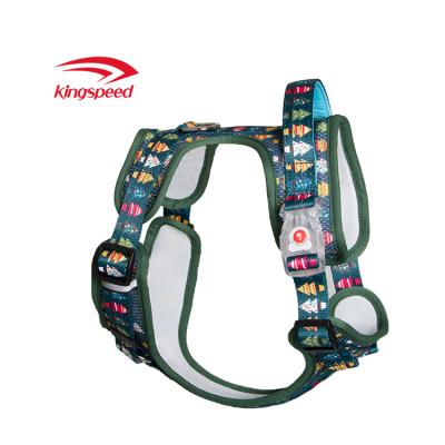 China High Quality Factory Direct Pet Safety LED Harness Dog Harness LED Harness Wholesale High Quality Wholesale for sale