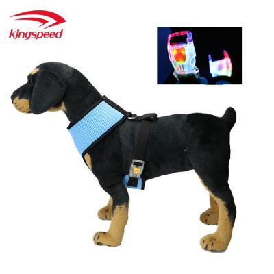 China Puppy Flashing Light Detachable Soft Comfortable Padded Halter LED Dog Training Harness Invest Colorful Fabric In Stock for sale