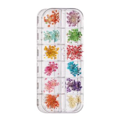 China Nail Art/Craft Decoration 1 Set Manicure Sticker Polish Nail Dried Flower Case Bulk Package Small Dry Nail Art Flower NDF001 for sale