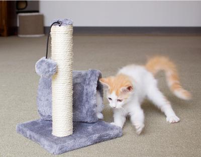 China Hot-selling manufacturer wholesale small gray short plush sisal cat scratcher with ball toy for sale