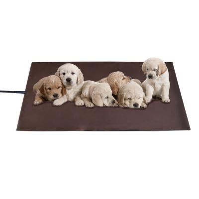 China Waterproof Wholesale Soft Constant Temperature Electric Self Warm Heating Pad Medical Device Heated Dog Bed for sale