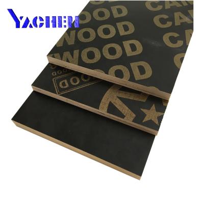 China Modern Plywood Film Faced Film Faced Plywood 18mm Film Faced Plywood Construction for sale