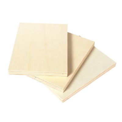 China Baltic COMMERCIAL PLYWOOD Modern 12MM Plywood 12MM Birch Plywood 12mm for sale