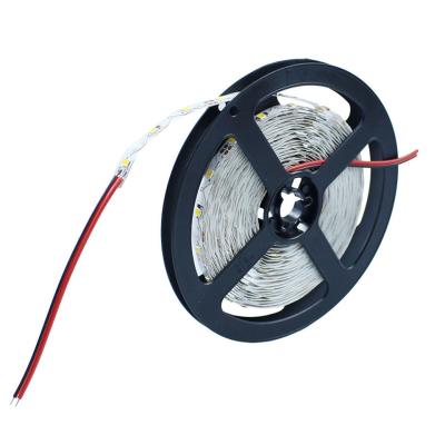 China Desktop Panel SMD 2835 LED Dual Strip 12V LED Strip Lights Flexible Shape S for sale