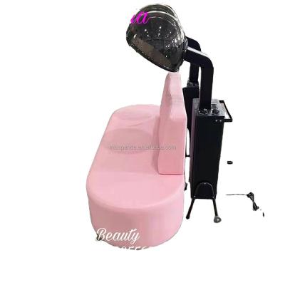 China Eco-friendly Wholesale Professional Professional Salon Equipment Ozone Hair Steamer For Beauty Salon Use Micro Ozone Mist Hair Spa Steamer for sale