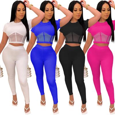 China Anti-pilling Ladies Casual Outfits Short Sleeve And Leggings For Women Short Sleeve T-Shirt And Pants Mesh Clothing Outfits Tracksuit for sale