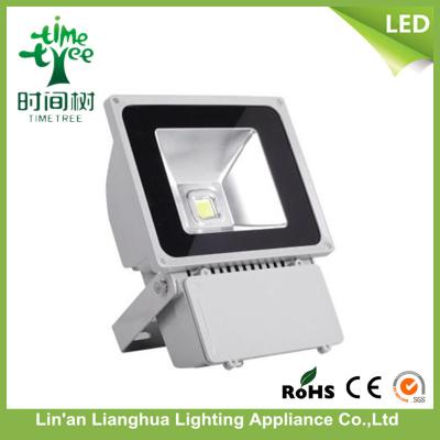 China Green Cool White 6500k Outdoor 100 Watt LED Flood Lights For Parks for sale