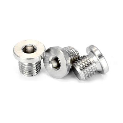 China Threaded Construction Thread M8M10M12 Pressure Stainless Steel Pipe Fittings Hexagon Socket Thread Screw Plugs BSPP Plug DIN 908 for sale