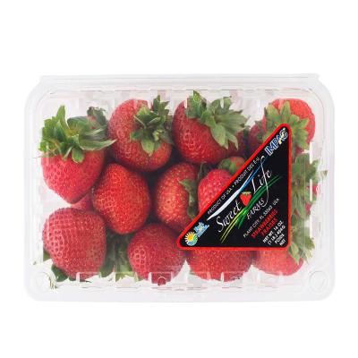 China Supplier Food Container Fruit Waterproof Printing Custom Printed Box Labels Self Adhesive Waterproof Product Labels for sale