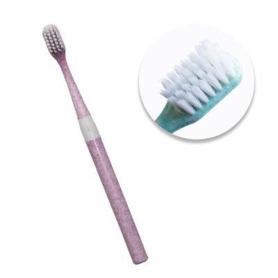 China High Quality Disposable Toothbrush China OEM Toothbrush Professional Italian Toothbrush Manufacturer for sale