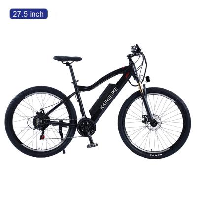 Chine 4 Inch Tire 48v 500w Steel Hot Selling Fat Bike 21 Speed ​​E Electric Bicycle à vendre