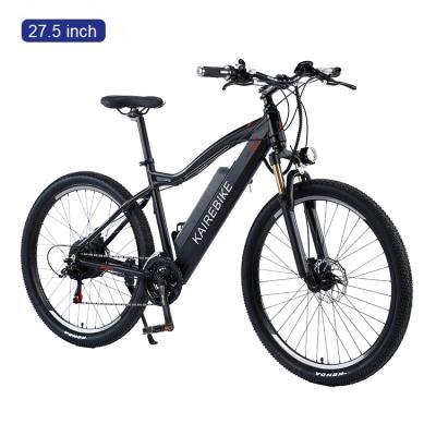 China Steel Bottom Riding 21 Speed ​​Motor Mountain Bike Brushless Frame e Bicycle for sale