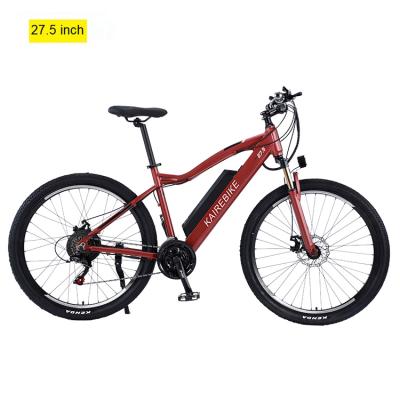 Chine 48v 500w lithium battery steel disc brake e bicycle large volume electric bike à vendre