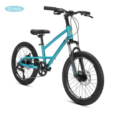 China Good Quality Steel Forever 20 Inch Different Color Children's Mountain Bike Children's Bicycle Te koop