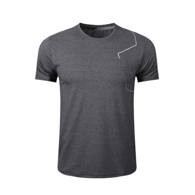 China Anti-Wrinkle Sports Workout Shortsleeve Seamless Quick Dry T-shirt Fitness For Men for sale