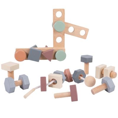 China Eductional Preschool Toys Children DIY Toy Match Nuts And Screws Combination Wooden Nuts And Screws Wholesale Funny Wooden Educational Baby Toys - And - Bolts Assembly Set T for sale