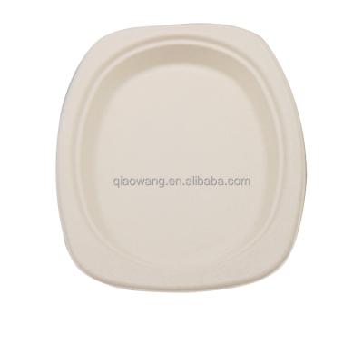 China New Eco-friendly Disposable Food Tray Supermarket Sugarcane Bagasse Sushi Disposable Biodegradable Catering Dishes for sale