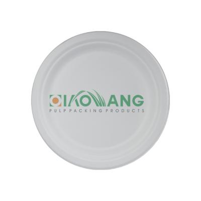 China Disposable Bagasse Pulp Dish Eco-friendly Biodegradable Disposable Food Tray White Sugarcane Plate for sale