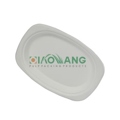 China Wholesale White High Quality Bagasse Disposable Environmentally Friendly Bagasse Dinner Dish for sale