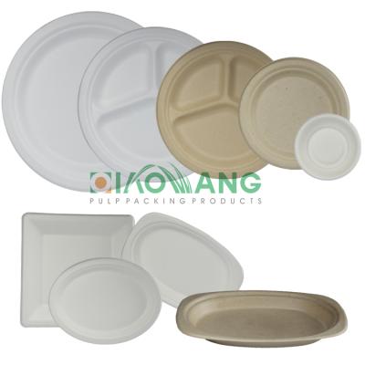 China Custom Wholesale 10 Inch Disposable Tasty Oval Bagasse Modern Disposable Dinner Dishes for sale